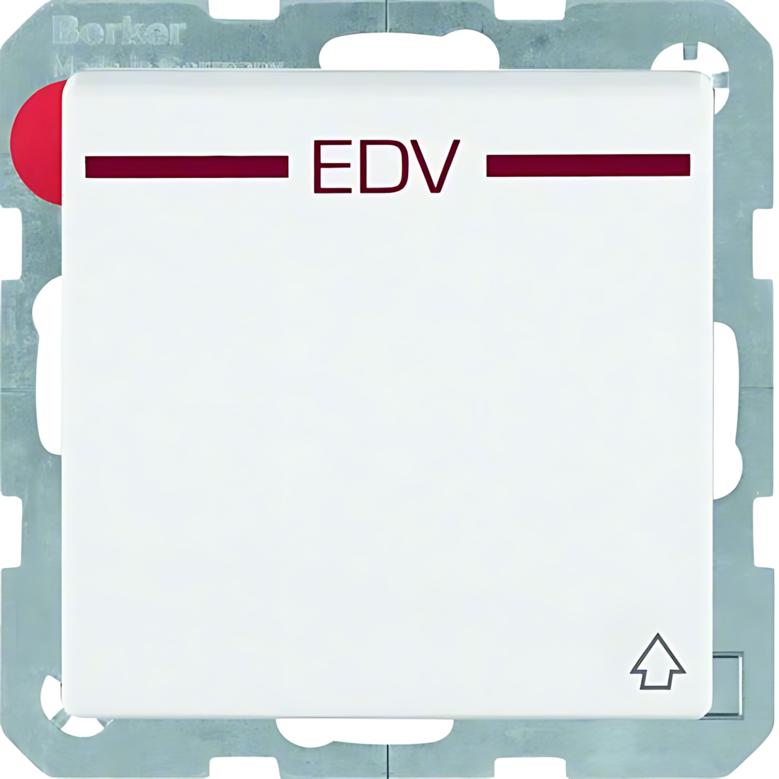 Berker Steckdose 47516059