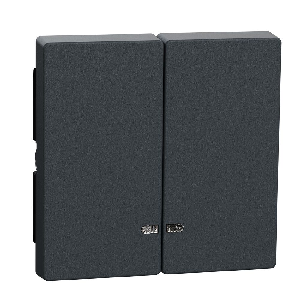 Merten Doppelwippe MEG3420-0414