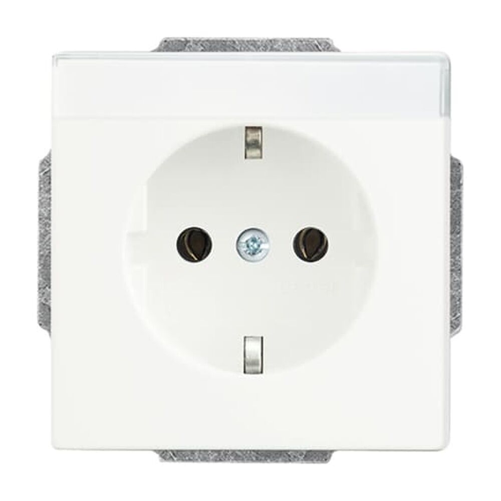 Busch-Jaeger SCHUKO Steckdosen Einsatz 20 EUN-884 Nr. 2CKA002011A3881 