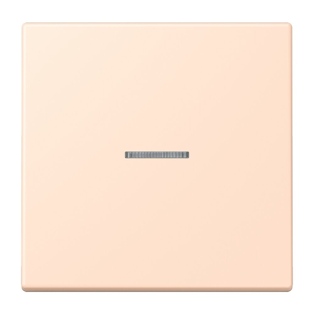 Jung JUNG HOME Taster BTLC17101228 