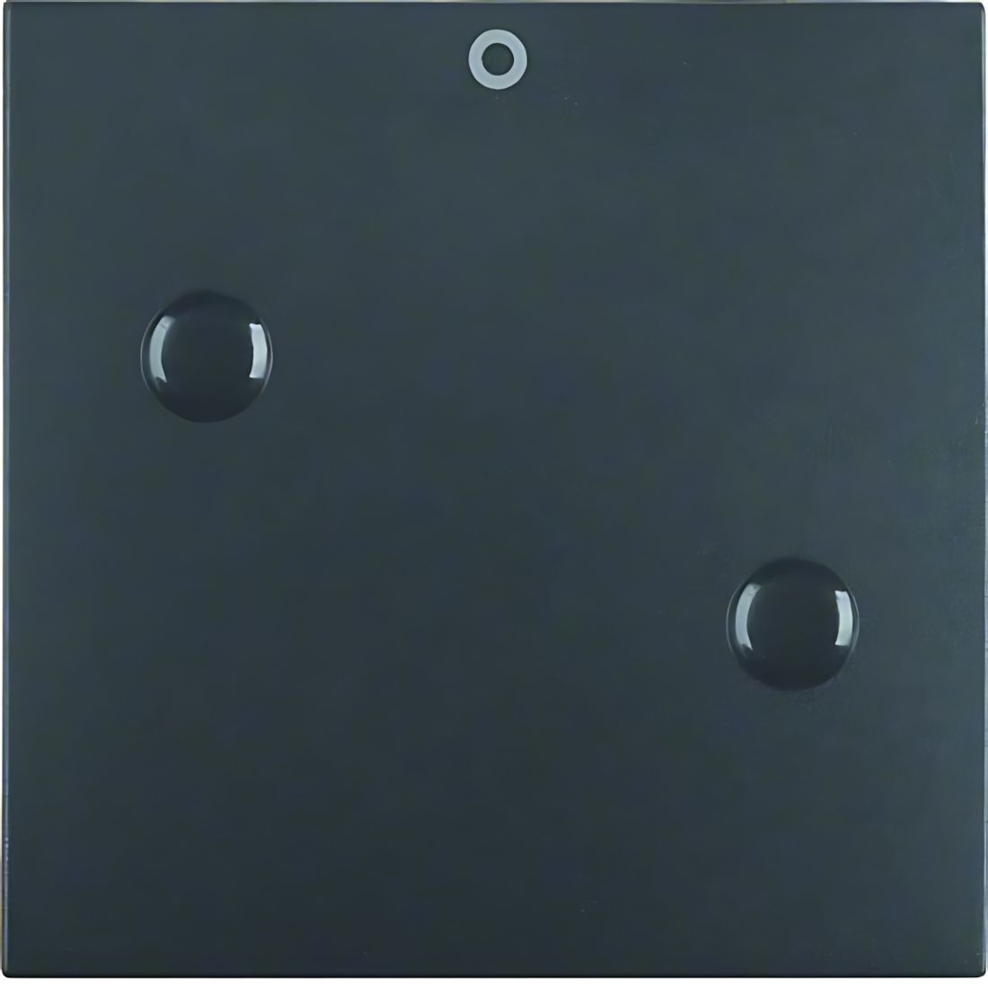 Berker Wippe 15731606