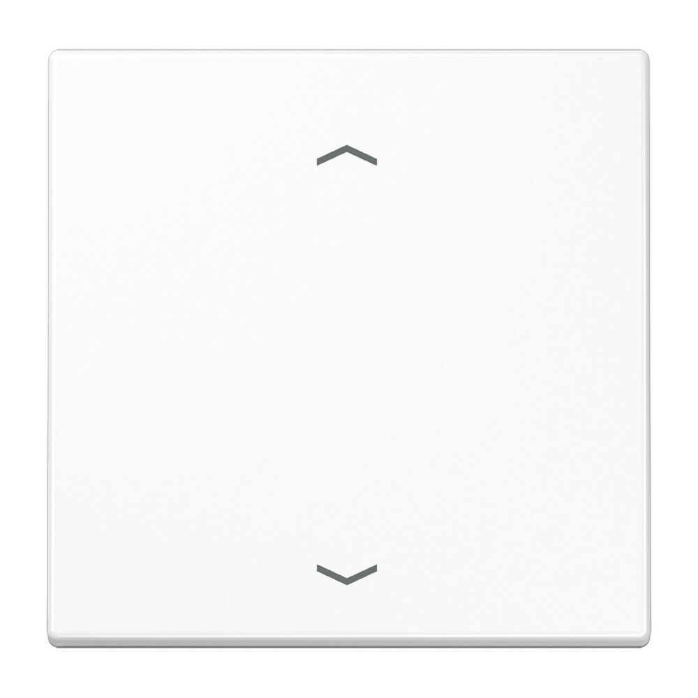 Jung EnOcean Funk Wandsender ENO LS 990 P WW