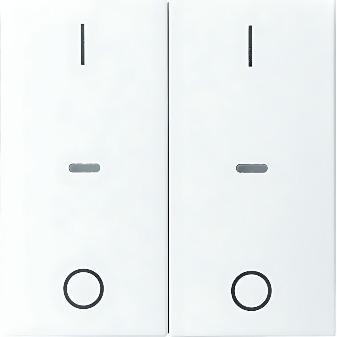 Berker Tastsensor Abdeckung 80962399