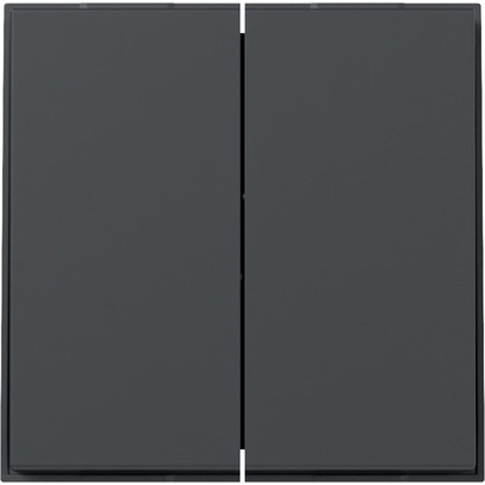 Gira Wippe 2fach 349567 