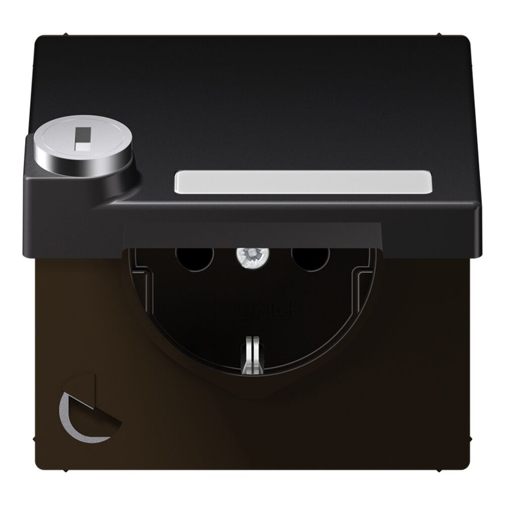 Jung Schutzkontakt Steckdose AL 1520 NAKLSL D