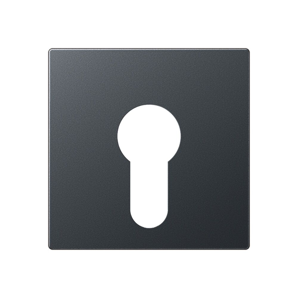 Jung Abdeckung Schlüsselschalter A 525 PL ANM