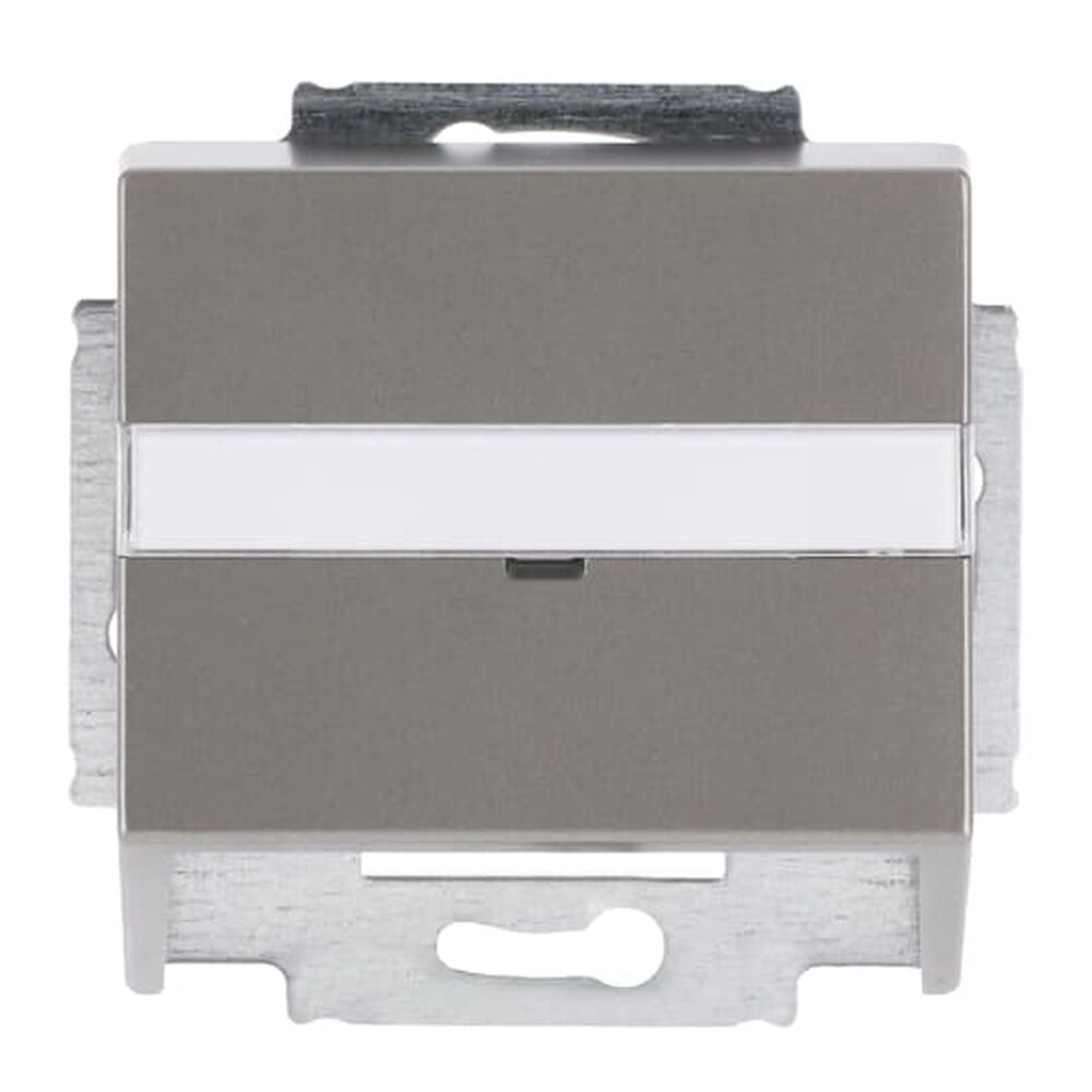 Busch-Jaeger Zentralscheibe 1758-866 Nr. 2CKA001724A4272