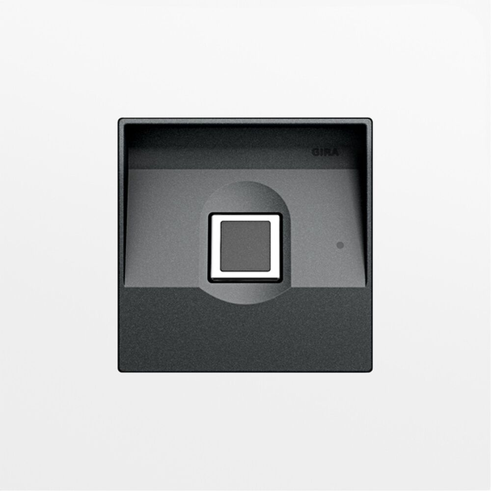 Gira Keyless In Fingerprintmodul 5551902