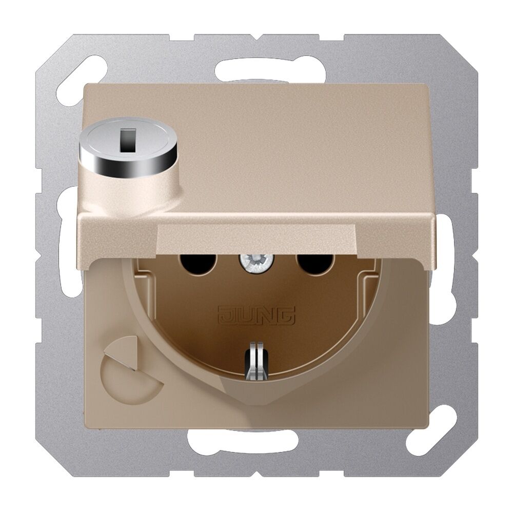 Jung Schutzkontakt Steckdose A 1520 BFKLSL CH