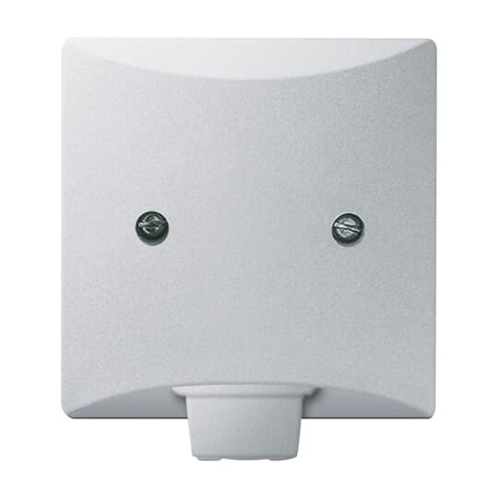 Busch-Jaeger Zentralscheibe 2133-33 Nr. 2CKA001710A3798 