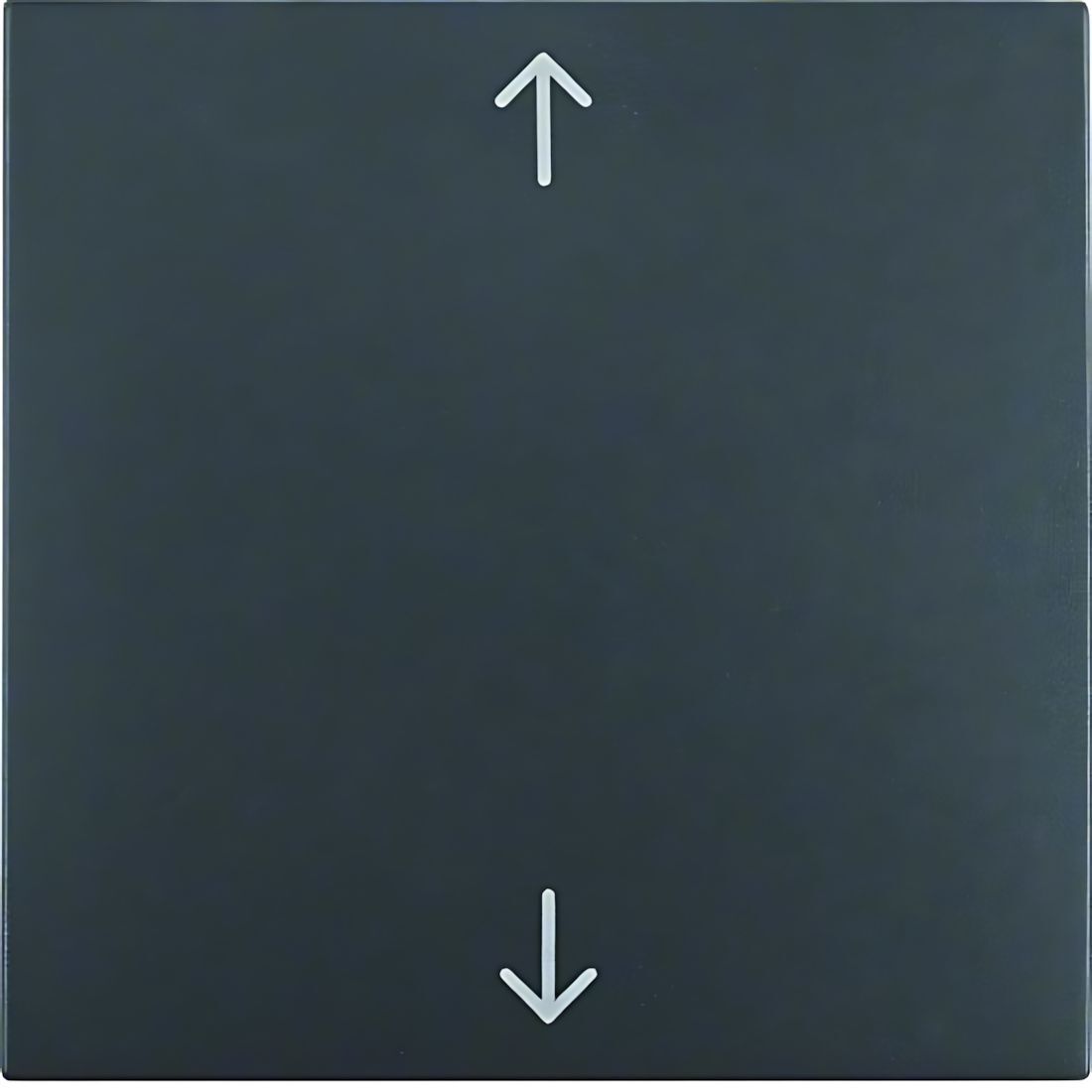 Berker Wippe 16201616