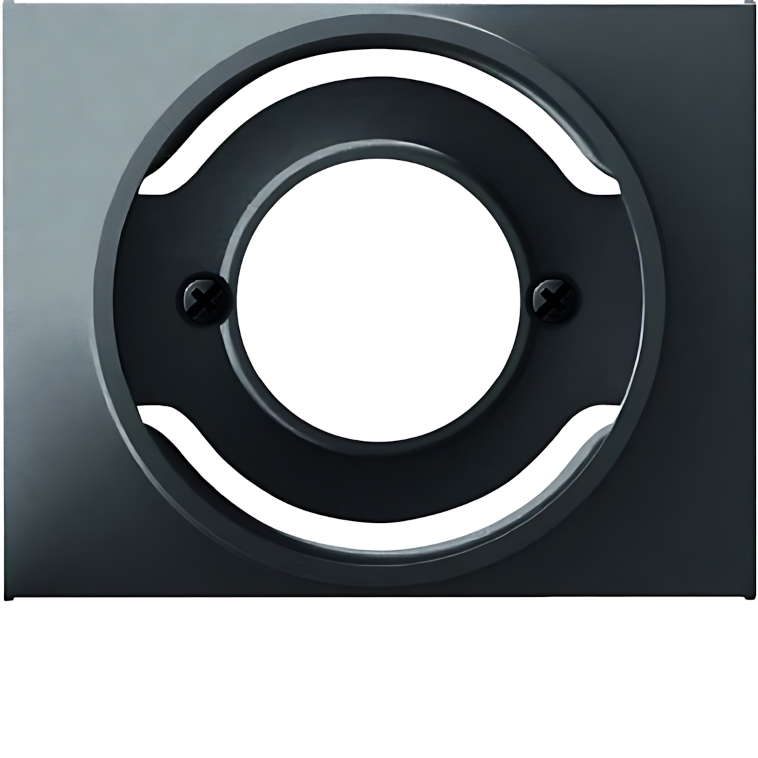 Berker Zentralstück 11677006 