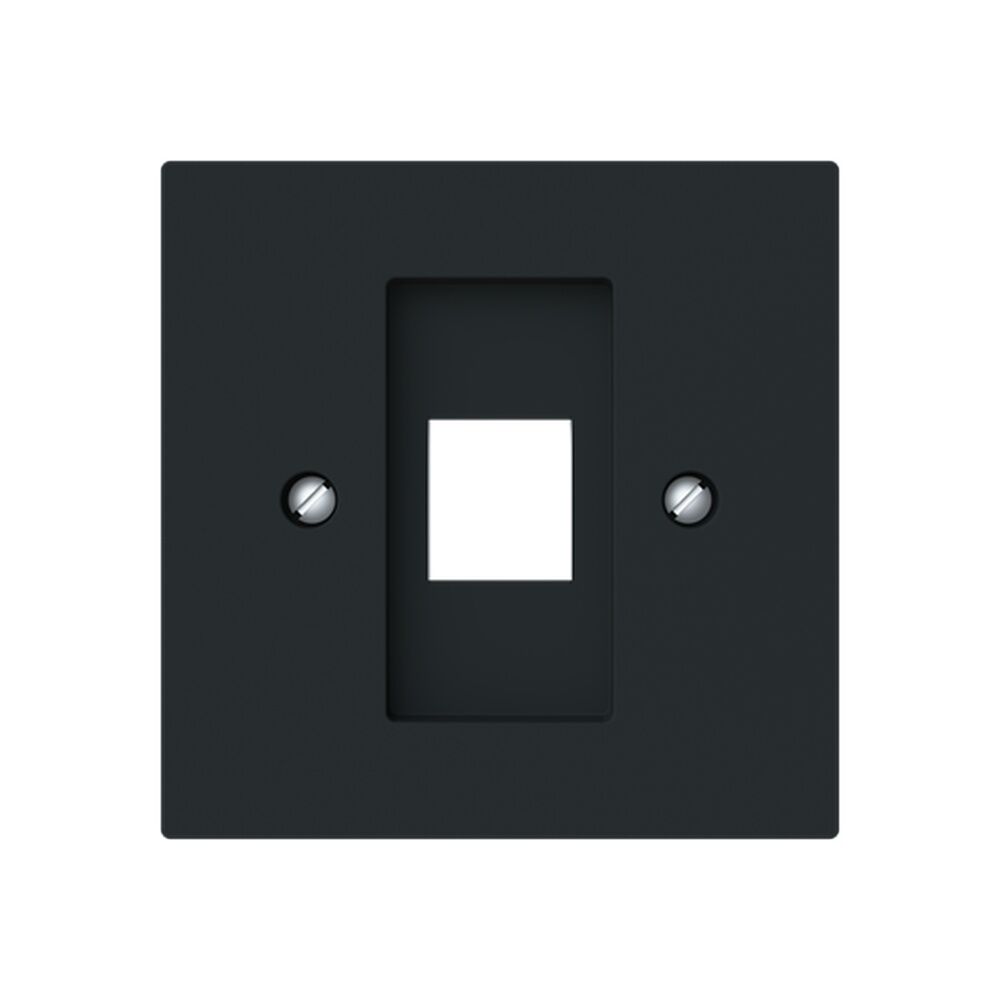 Busch-Jäger Zentralscheibe 2561-45M Nr. 2CKA001753A9925