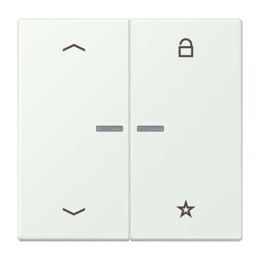 Jung Taster FMLC1701P210