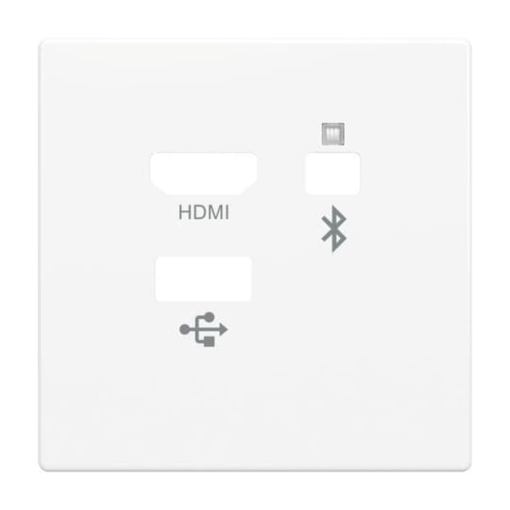 Busch-Jaeger Zentralscheibe 8256-84 Typ 2CKA008200A0224 