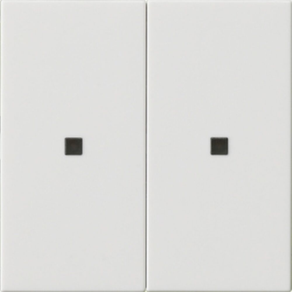 Gira Wippe 2fach 536903