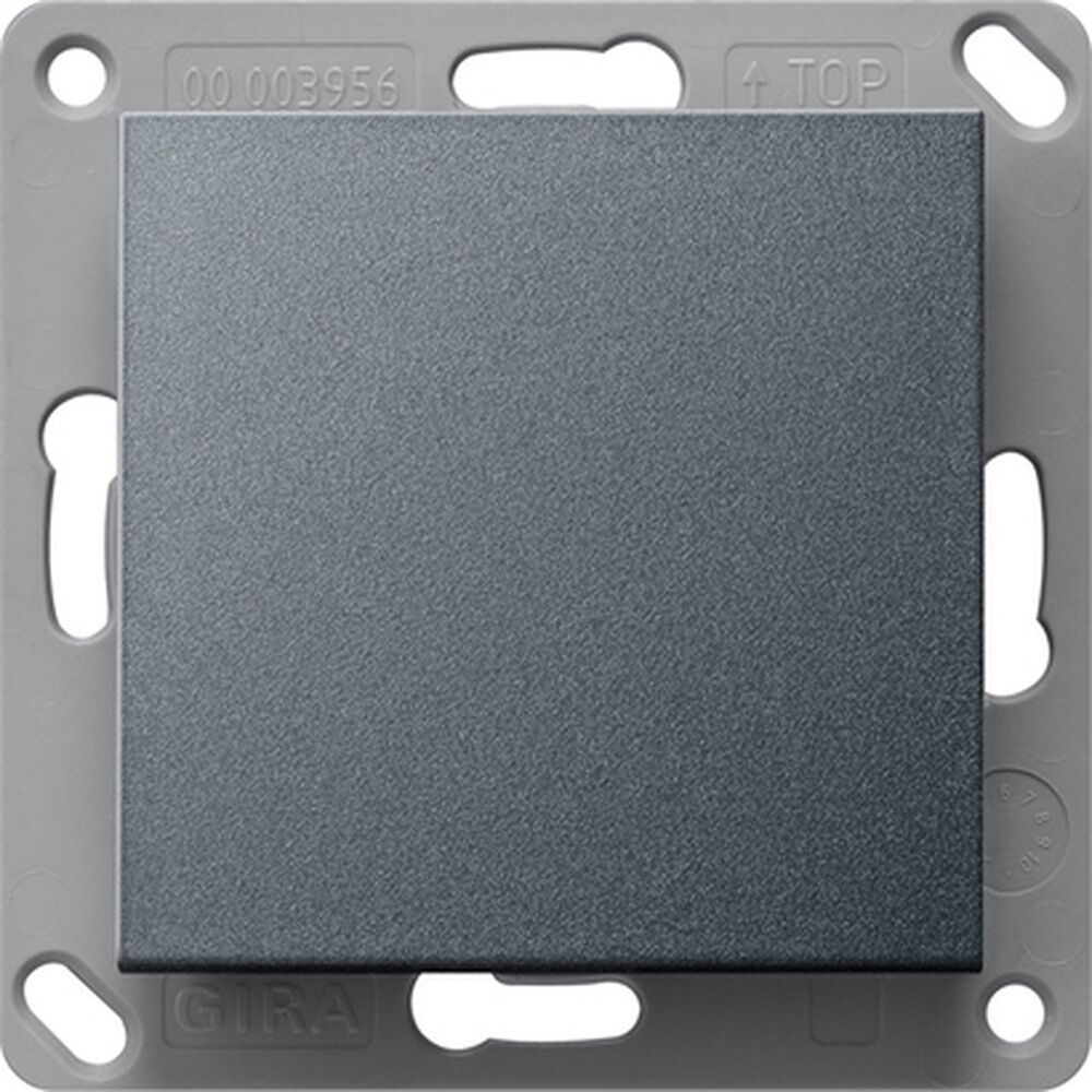 Gira BT Wandsender 246128