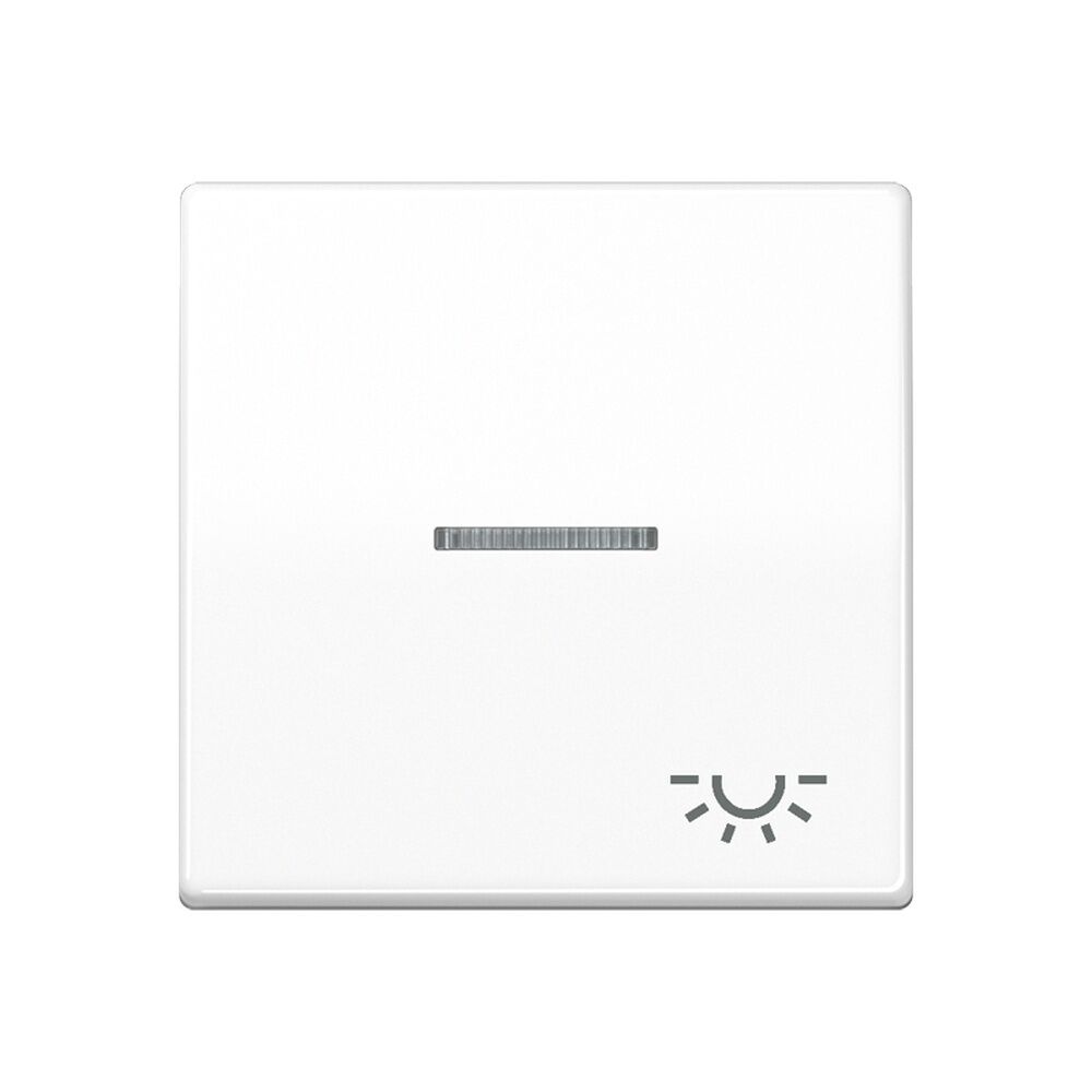 Jung Wippe 1fach SPAS591KO5LWW