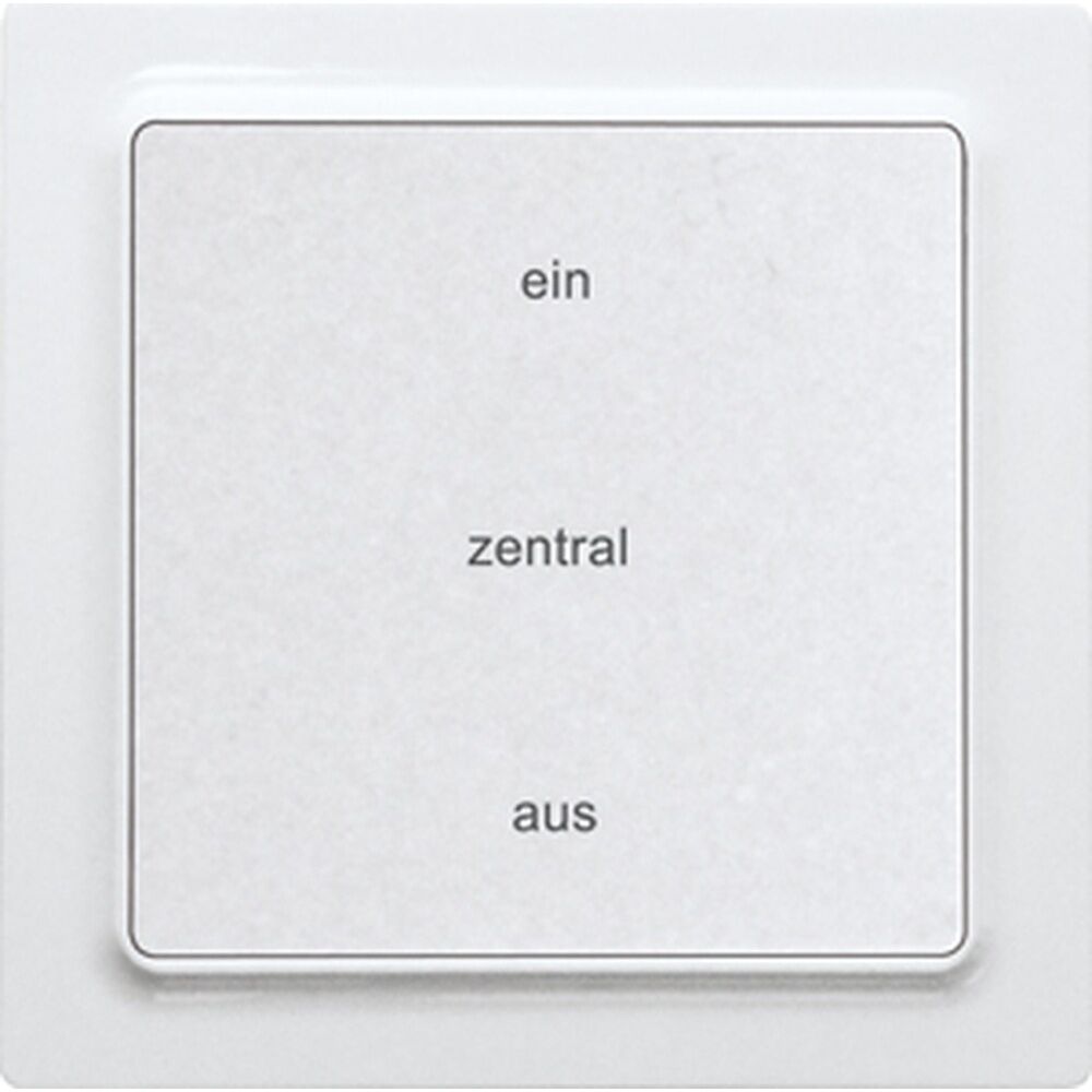 ELTAKO Funktaster 30055443 Typ F2ZT55E-pg