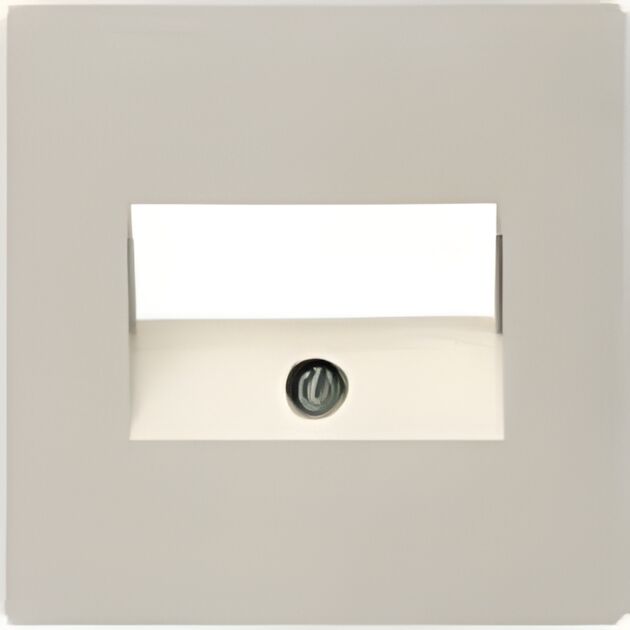 Berker 146702 Zentralplatte