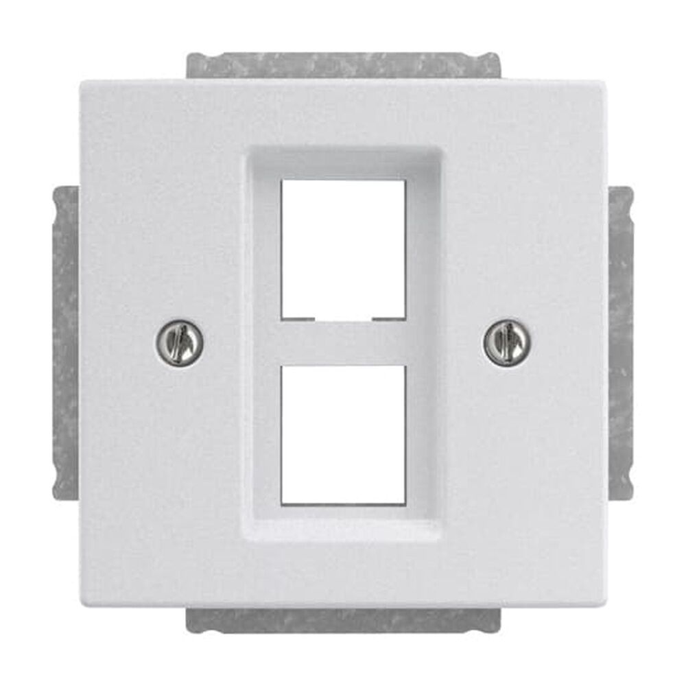 Busch-Jaeger Zentralscheibe 2561-02-83 Nr. 2CKA001753A0393