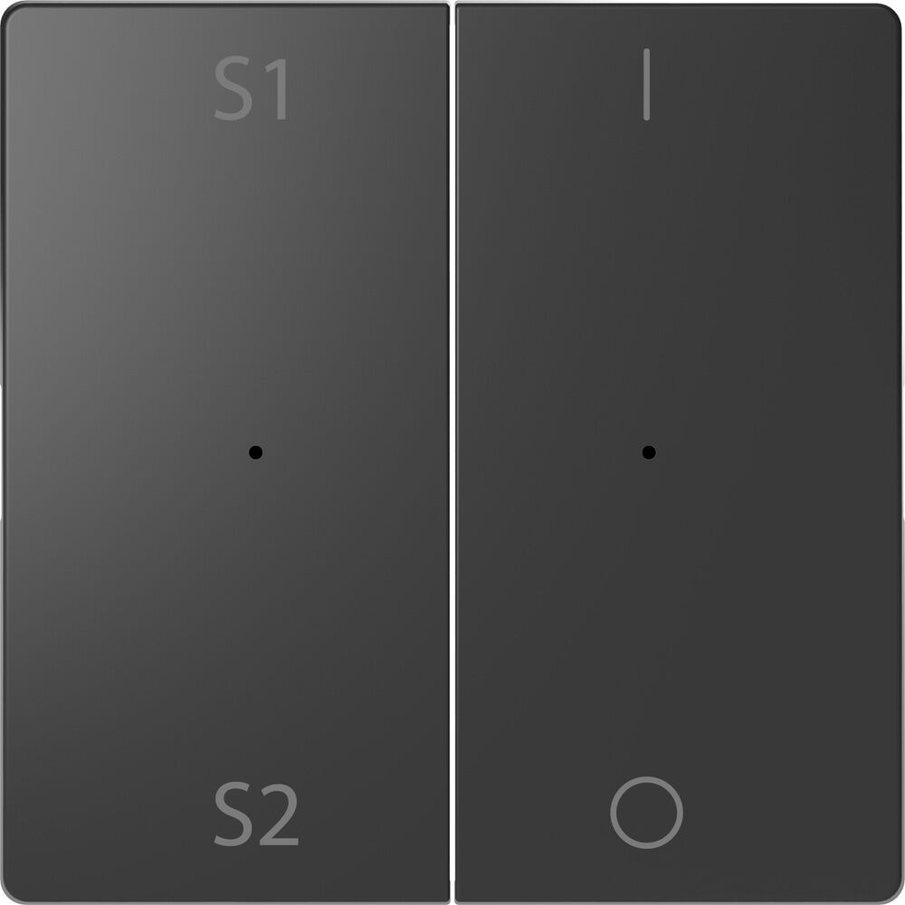 Merten Wippe MEG5228-6034