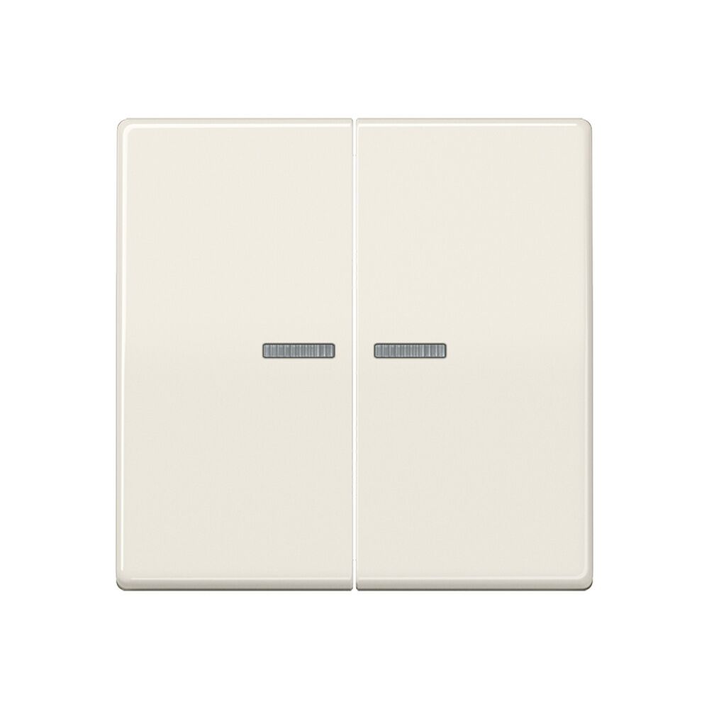 Jung Wippe AS 591-5 KO5BF