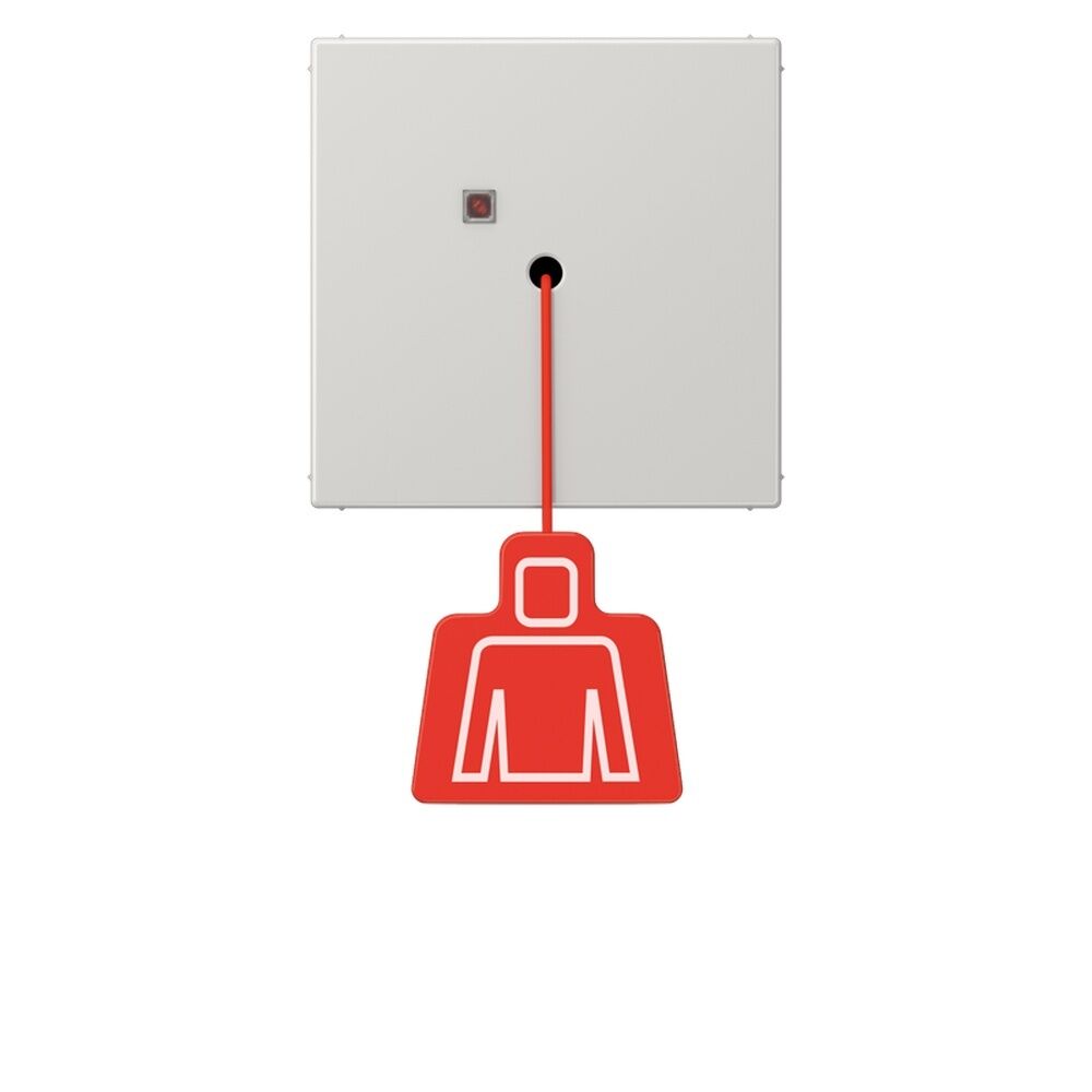 Jung Zugtaster NRS LS 0834 ZT LG