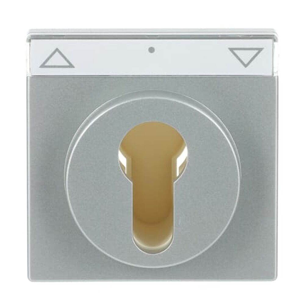 Busch-Jaeger Zentralscheibe 1755 SL/PZ-83-101 Nr. 2CKA001710A3662