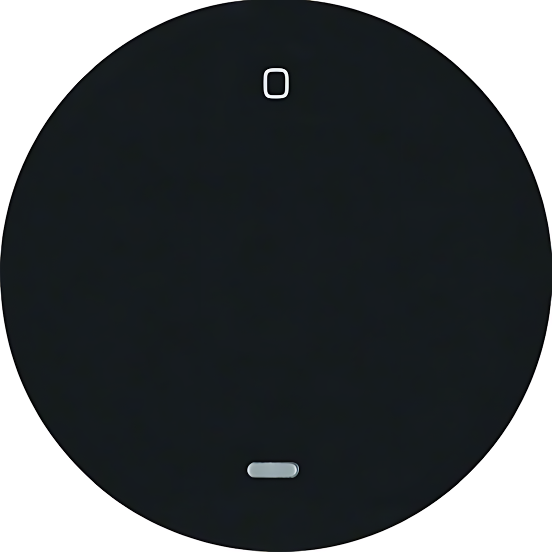 Berker Wippe 16242045 