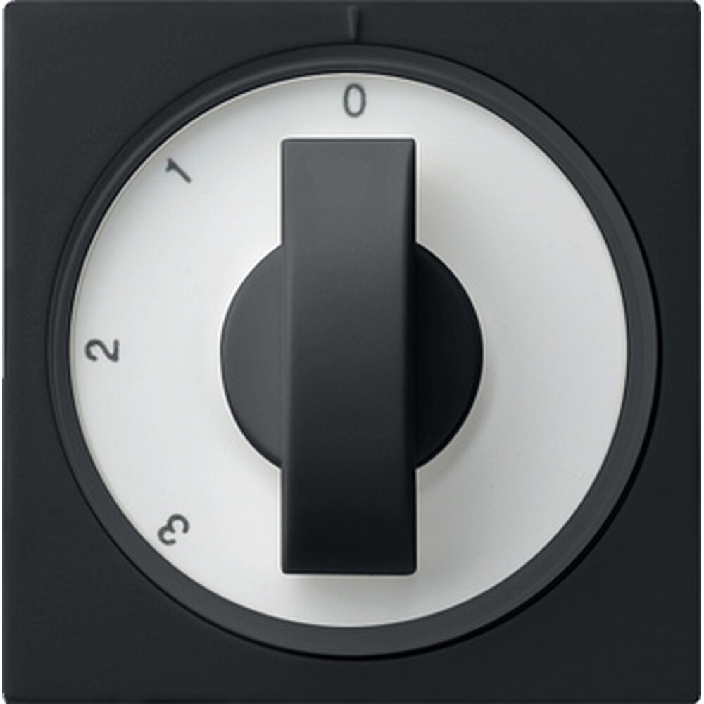 Gira Abdeckung 0669005