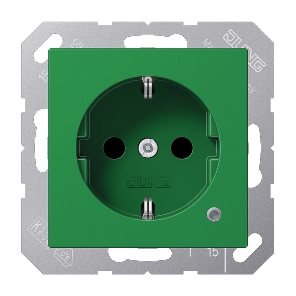 Jung Schutzkontakt Steckdose A 1520 BF KO GN