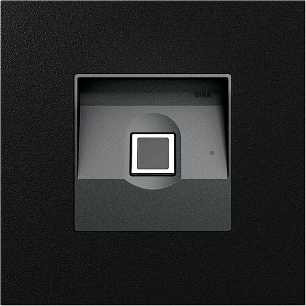 Gira Fingerprintmodul 5551925