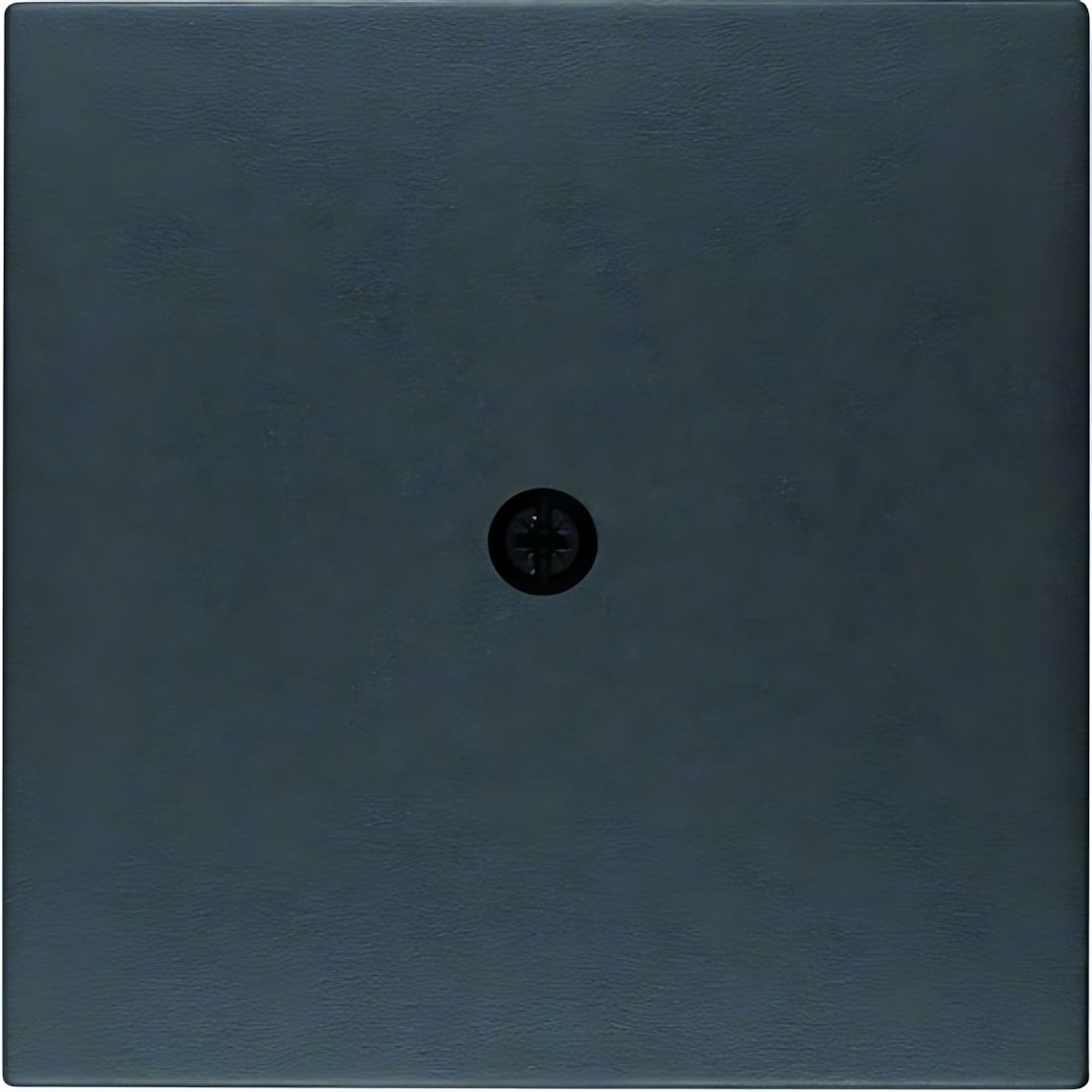 Berker Zentralstück 10191606