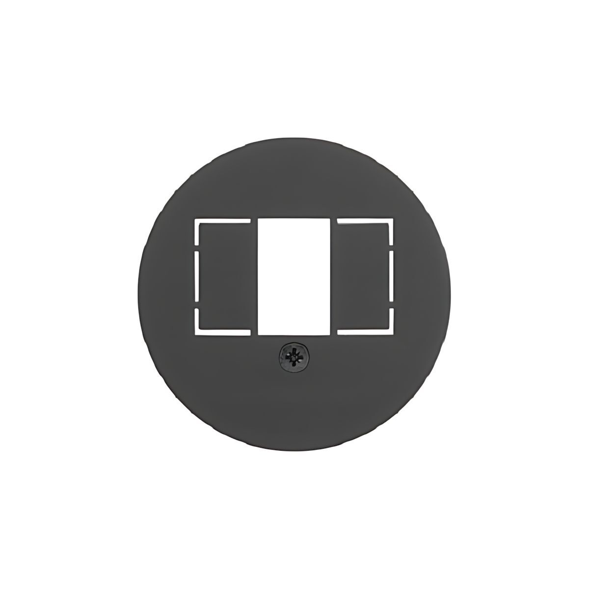 Berker Zentralstück MAN0101717 