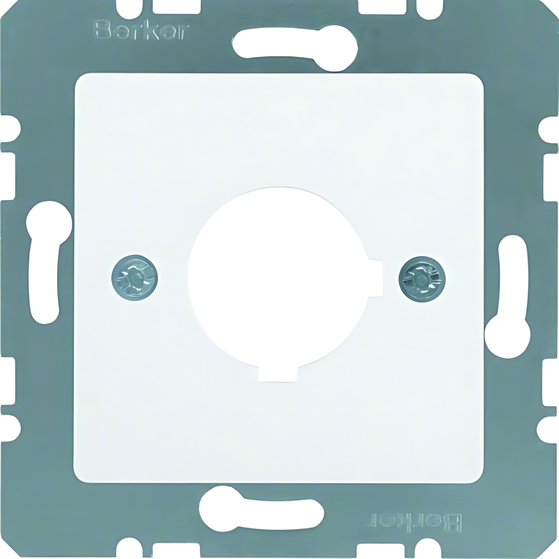 Berker Zentralplatte 14321909 