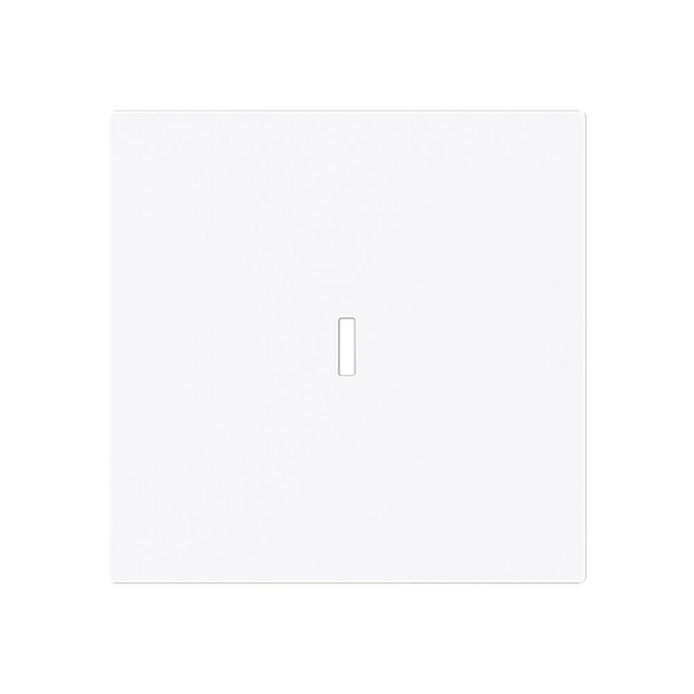 Busch-Jaeger Wippe 1789 N-44G Typ 2CKA001751A3361