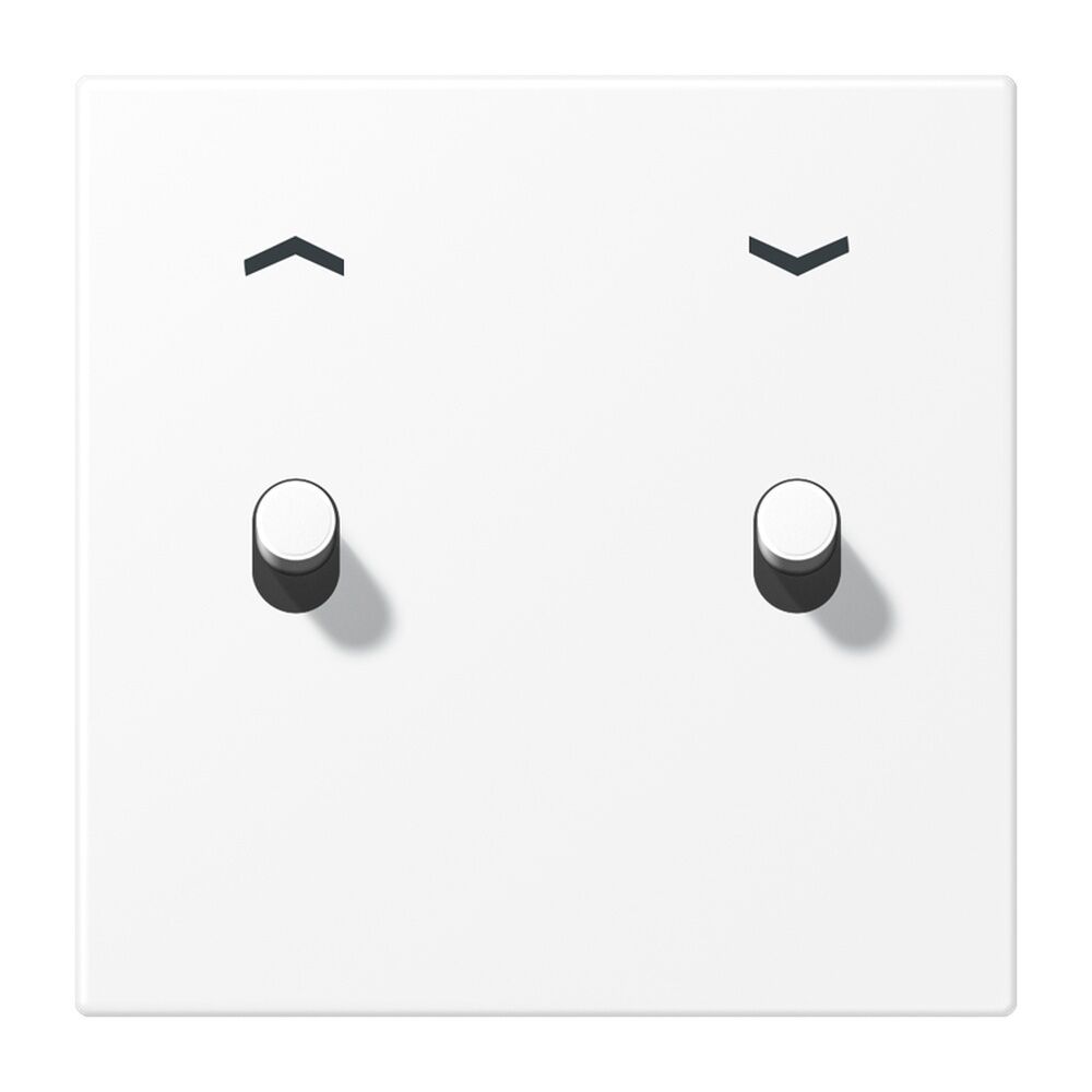 Jung Abdeckung AL12-5PWWMR07