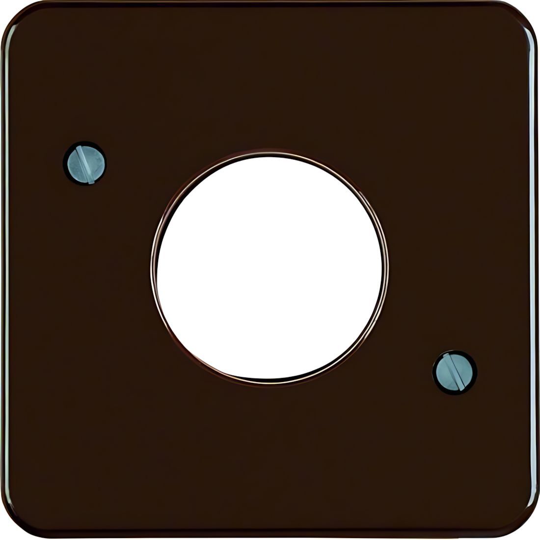 Berker Zentralstück 153001 