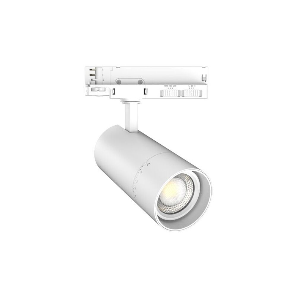Dotlux LED Tracklight 5775-099060
