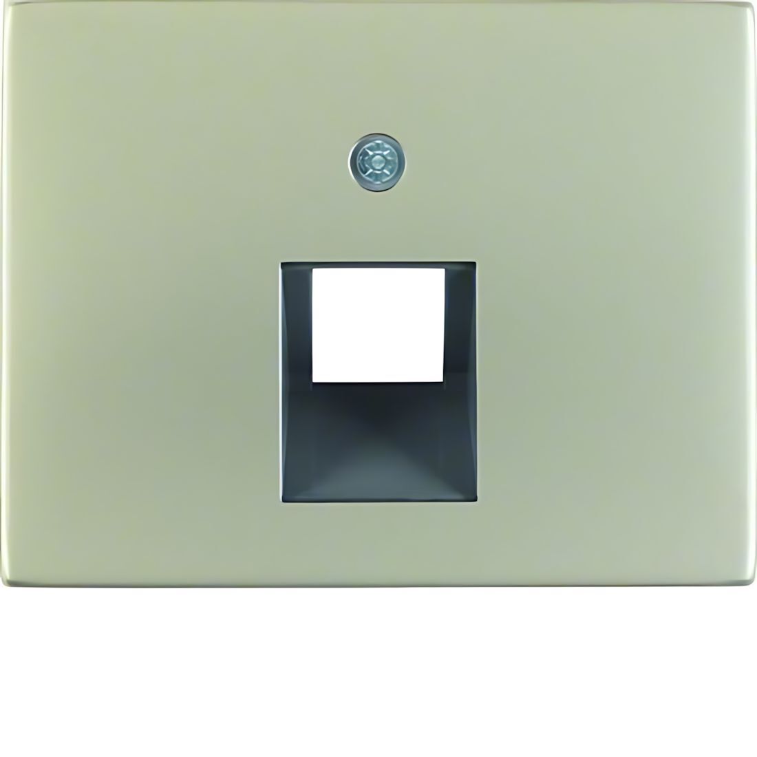 Berker Zentralstück 14077004