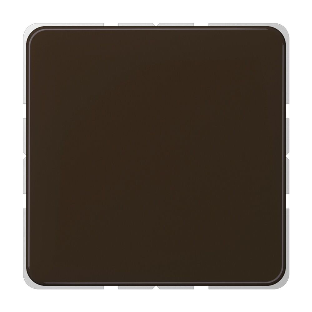 Jung Blindabdeckung CD 594-0 BR