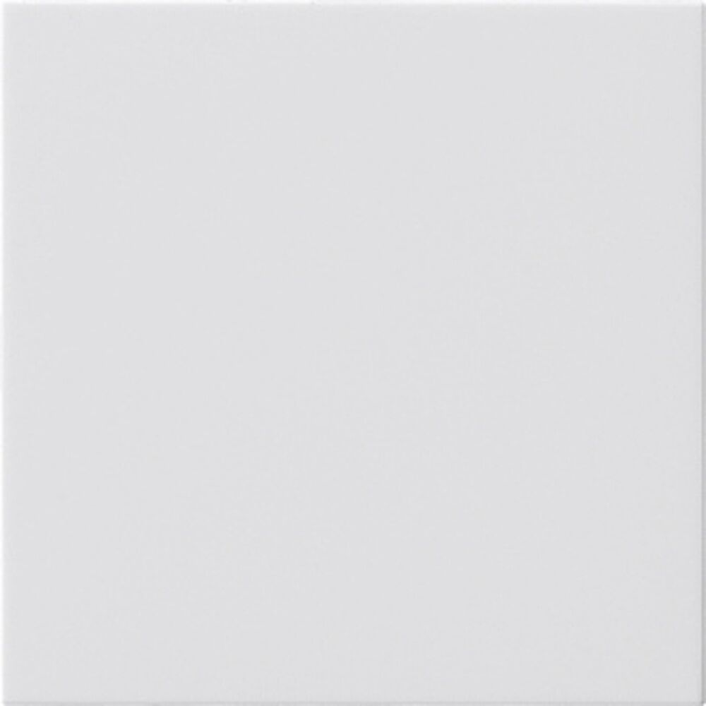 Gira Blindabdeckung 810803