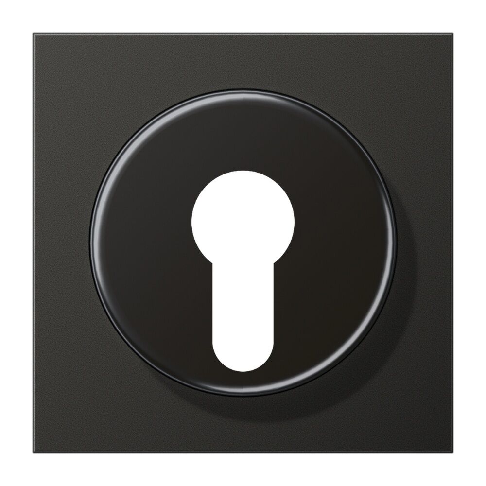 Jung Abdeckung Schlüsselschalter AL 2928 AN