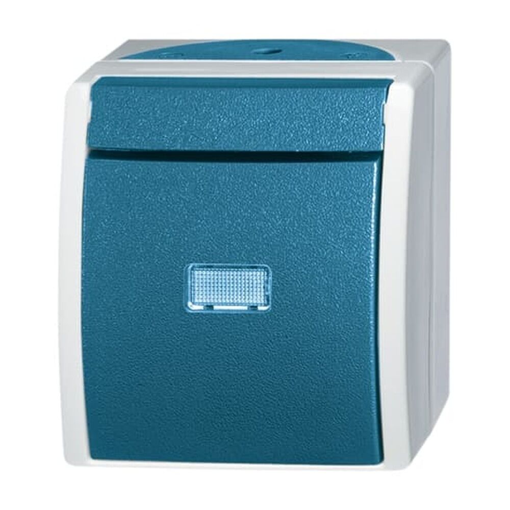 Busch-Jaeger Wippschalter 2601/6 WGL-53 Nr. 2CKA001085A1613