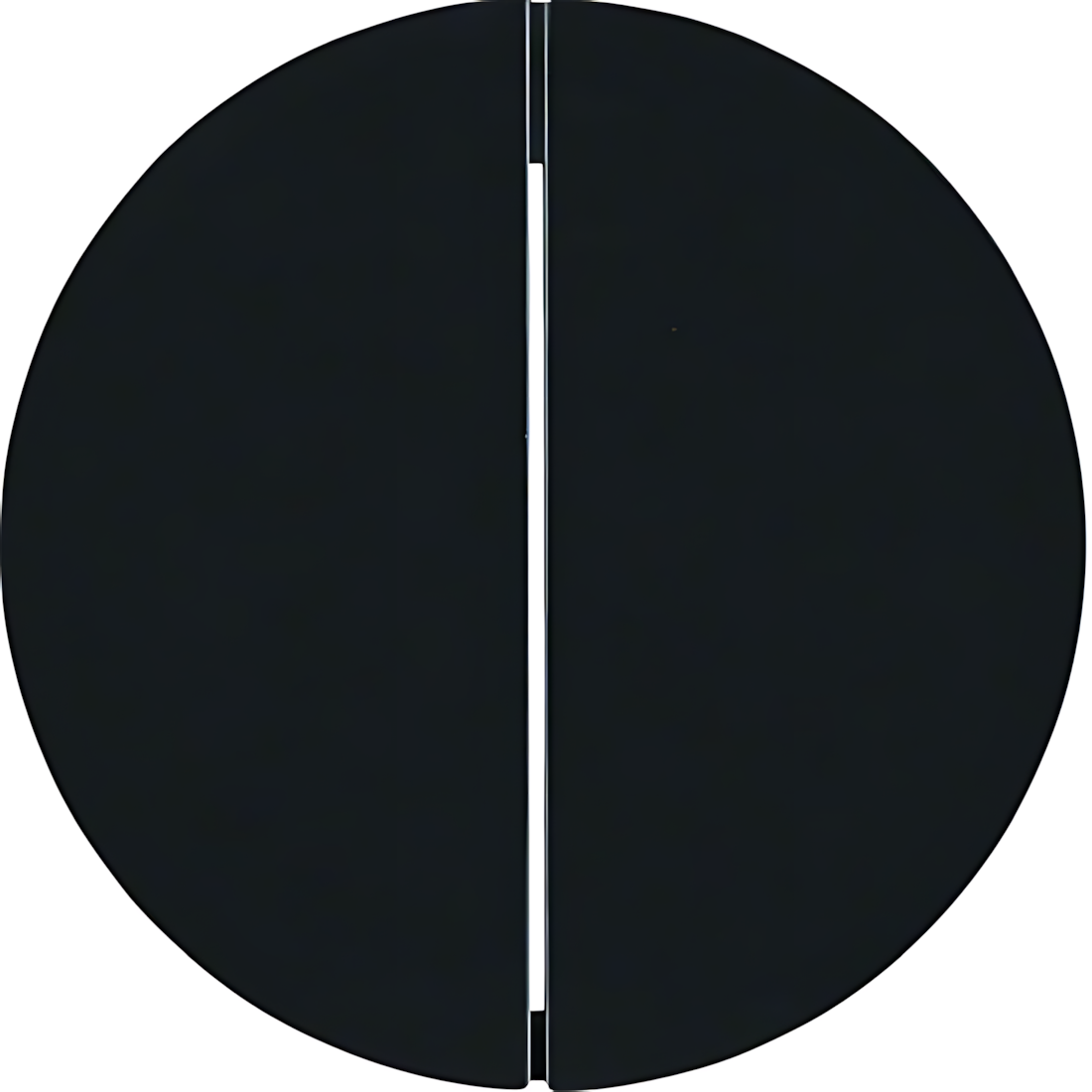 Berker KNX Funk Taste 85648131