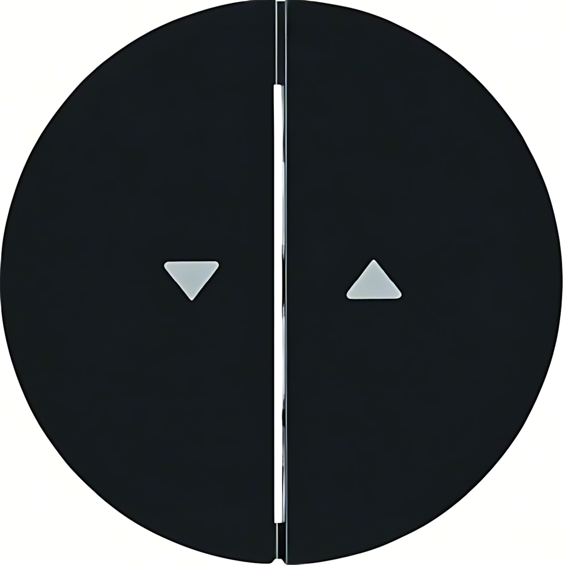 Berker Wippen 16252045 