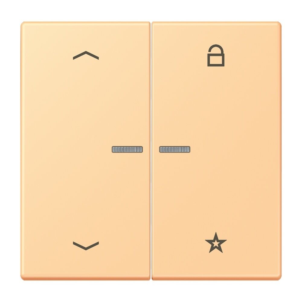 Jung Taster FMLC1701P258