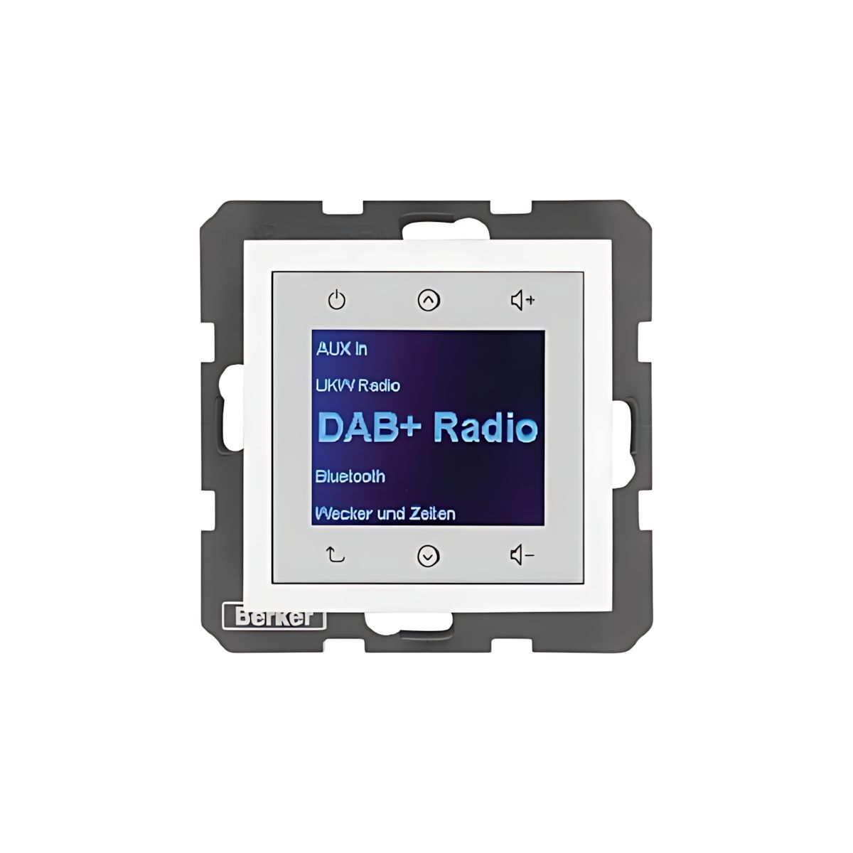 Berker Radio Touch 29848989