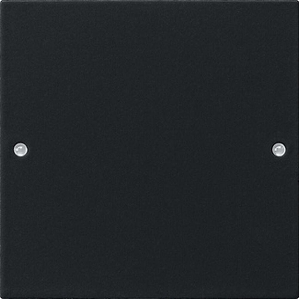 Gira Wippenset 2181005